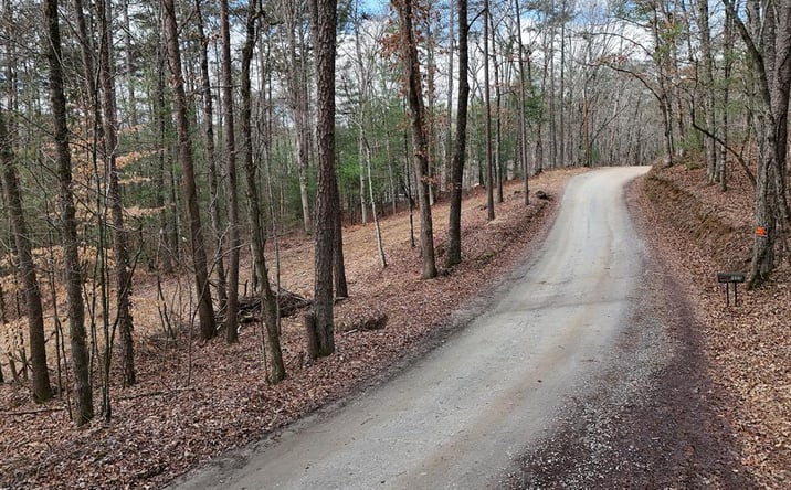 Pictures of Land property located at LT 45A Synacia Drive, Mineral Bluff, GA 30559 for sales - image #1