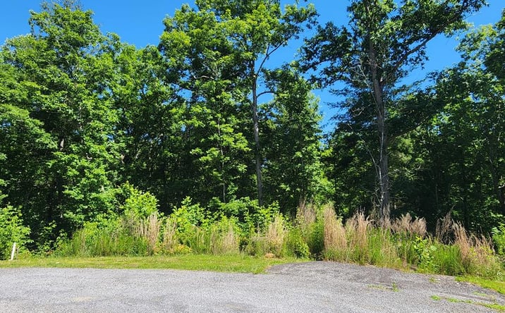 Pictures of Land property located at lot 112 Jakes Landing Overlook, Ellijay, GA 30540 for sales - image #1