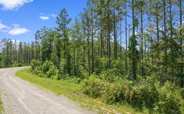 Pictures of Land property located at 310 Highland Drive, Linden, TN 37096 for sales - image #1