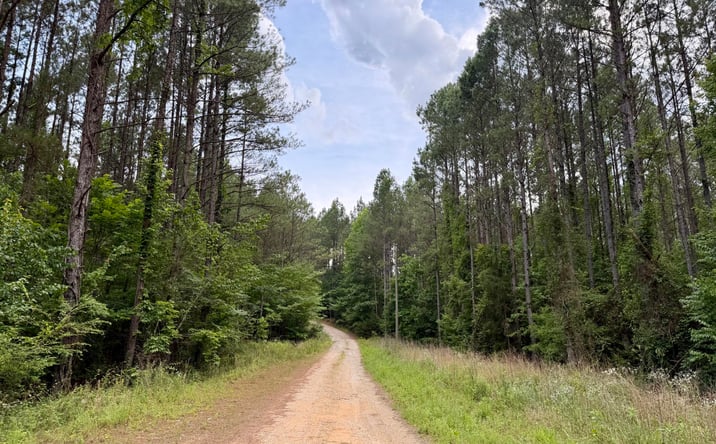 Pictures of Land property located at Cow Creek Road, Meridian, MS 39307 for sales - image #1