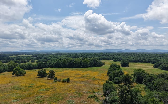 Pictures of Land property located at E County Road 1260 Road, Stigler, OK 74462 for sales - image #1