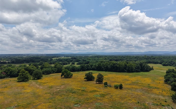 Pictures of Land property located at E County Road 1260, Stigler, OK 74462 for sales - image #1