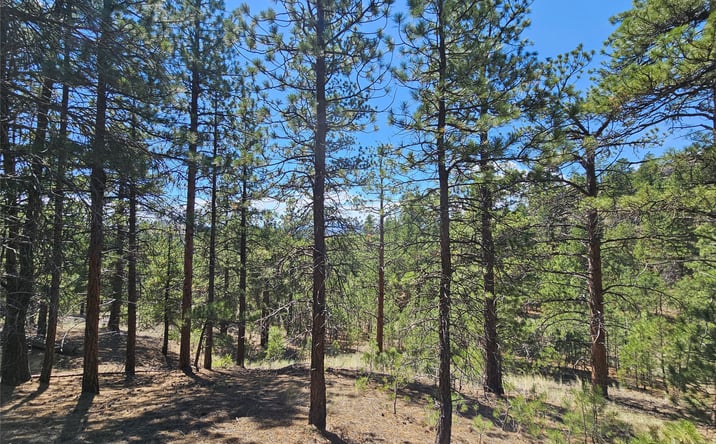 Pictures of Land property located at NHN Upper Sawmill Creek Road, CASCADE, MT 59421 for sales - image #1