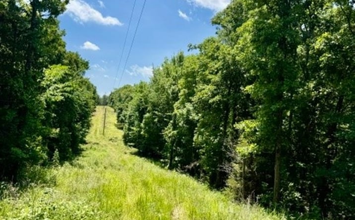 Pictures of Land property located at E 1025, Vian, OK 74962 for sales - image #1