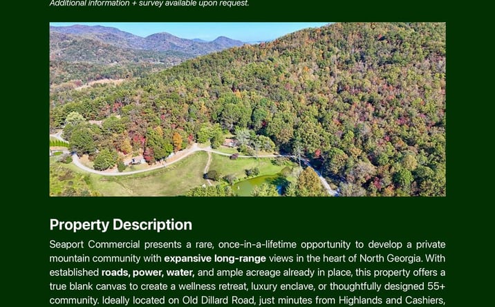 Pictures of Multifamily, Land, Business for Sale property located at 716 Georgia 246, Dillard, GA 30537 for sales - image #1
