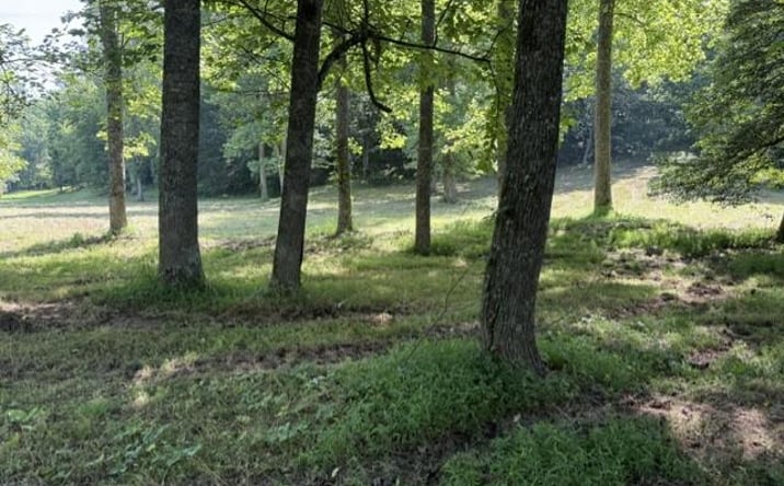 Pictures of Land property located at Lot 6 Clear Creek Preserve Way, Ellijay, GA 30536 for sales - image #1