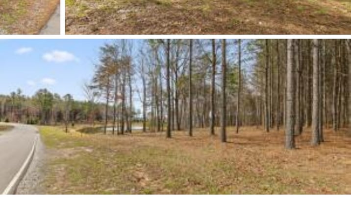 Pictures of Land property located at 0 Pine Knot Pass 33, Jasper, TN 37347 for sales - image #1