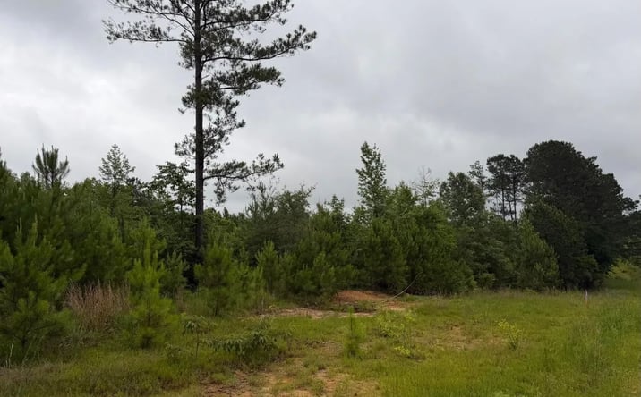 Pictures of Land property located at Shell Oil Road, 70964, MS 39666 for sales - image #1