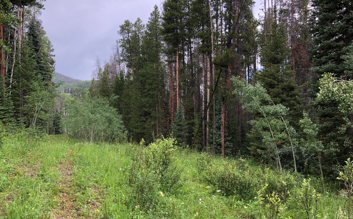 Pictures of Land property located at TBD Springboard Trail, Oak Creek, CO 80467 for sales - image #1
