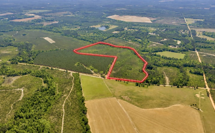 Pictures of Land property located at 35 Graham Road, Cadwell, GA 31009 for sales - image #1