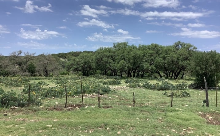 Pictures of Land property located at Highway 55 and County Road 31, Alamo, TX 78516 for sales - image #1