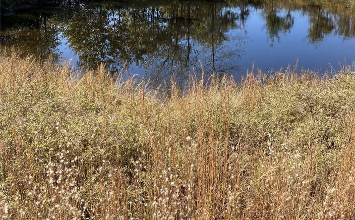 Pictures of Land property located at 4776 Miller Road, Mannford, OK 74044 for sales - image #1