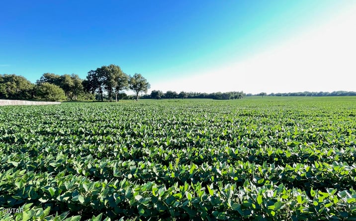 Pictures of Land property located at Hwy 54 & Fulton Rd, Brownsville, TN 38012 for sales - image #1