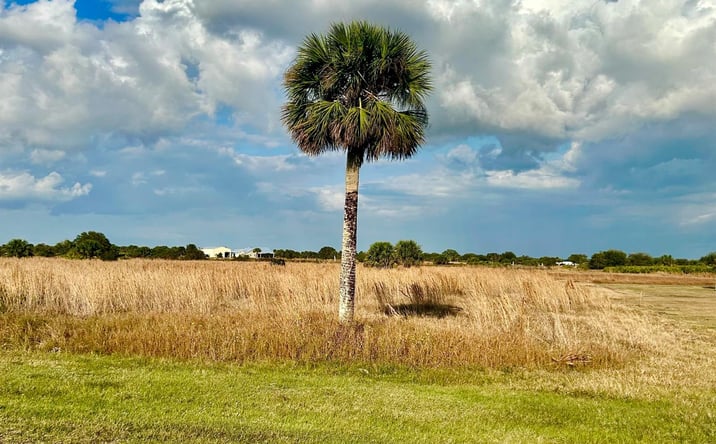 Pictures of Land property located at 6635 SE 26th Trail, Okeechobee, FL 34974 for sales - image #1