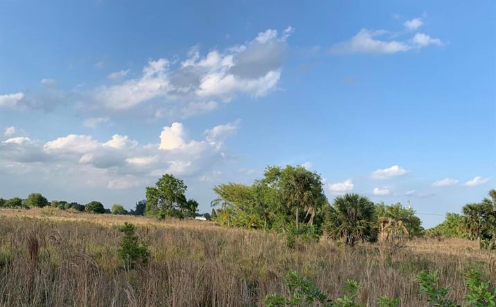 Pictures of Land property located at 20637 Simone Drive, Loxahatchee, FL 33470 for sales - image #1