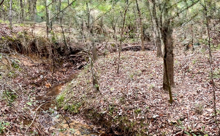 Pictures of Land property located at 1482 TONY PEEBLES RD, LIVINGSTON, TX 77351-6795 for sales - image #1