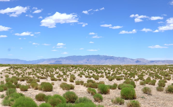 Pictures of Mixed Use, Land, Special Purpose property located at 14 YBARRA AVE, VEGUITA, NM 87062 for sales - image #1