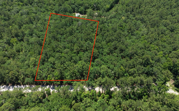 Pictures of Land property located at 4.77 Acres - Maple Ford Road, Waverly, GA 31565 for sales - image #1