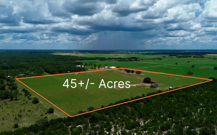 Pictures of Land property located at Southeast 54 Street, Morriston, FL 32668 for sales - image #1