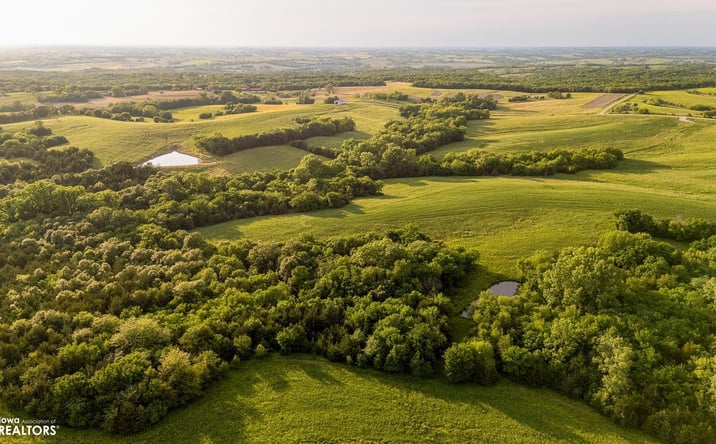 Pictures of Land property located at J67, Mount Ayr, IA 50854 for sales - image #1