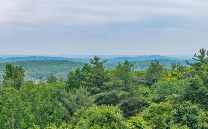 Pictures of Land property located at TBD Skinner Lane, Athens, NY 12015 for sales - image #1