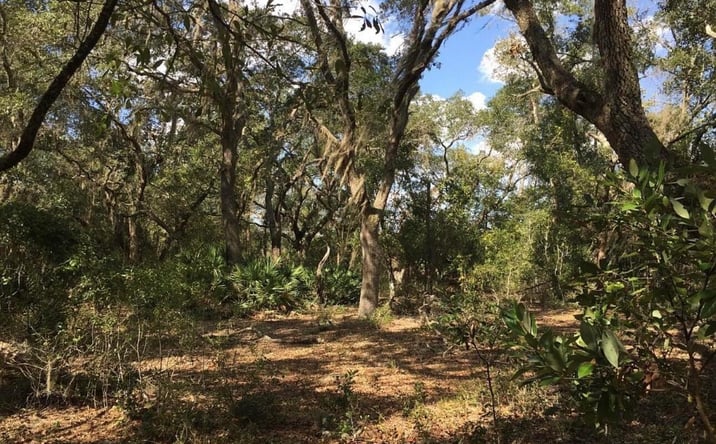 Pictures of Land property located at 8922 E Gulf To Lake Highway, Inverness, FL 34450 for sales - image #1