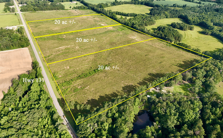 Pictures of Land property located at 0 Hwy 131, Clayton, AL 36106 for sales - image #1