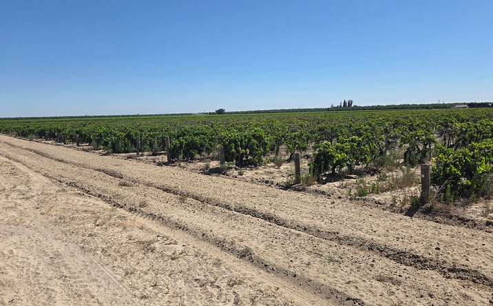 Pictures of Land property located at East Clarkson Avenue, Caruthers, CA 93609 for sales - image #1