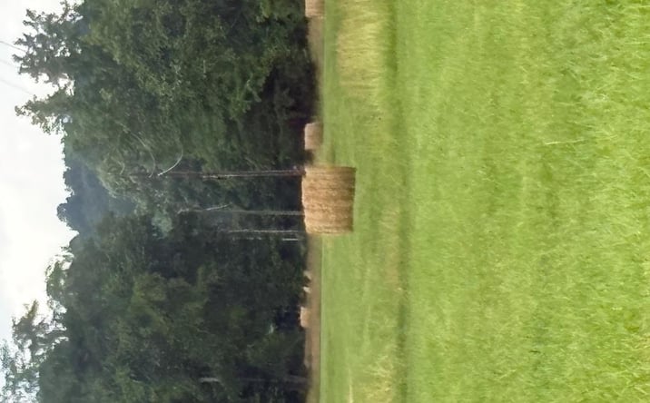 Pictures of Land, Special Purpose property located at 107 Hall Cemetary Rd, Cadiz, KY 42211 for sales - image #1