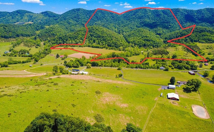 Pictures of Land property located at TBD Tbd Clinch Mountain Road, Lebanon, VA 24266 for sales - image #1
