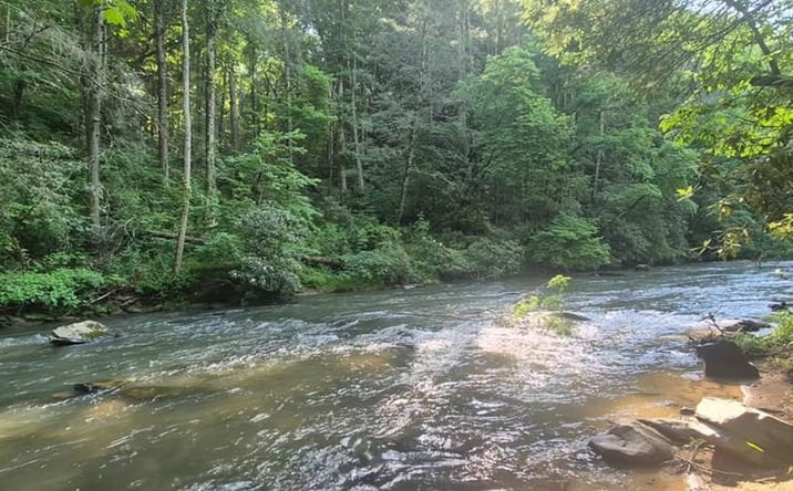 Pictures of Land property located at Lot 4 Roaring Forks Lane, Ellijay, GA 30540 for sales - image #1