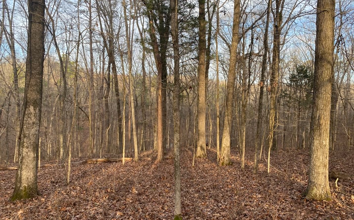 Pictures of Mixed Use, Land property located at 1 Bruton Branch Road, Savannah, TN 38372 for sales - image #1