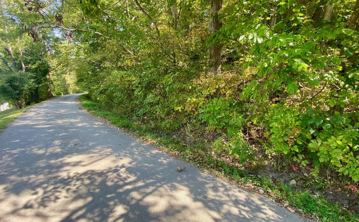 Pictures of Land property located at Eagle Creek Rd, Ripley, OH 45167 for sales - image #1