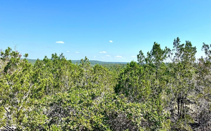 Pictures of Land property located at 30 Acres Harper, Harper, TX 78631 for sales - image #1