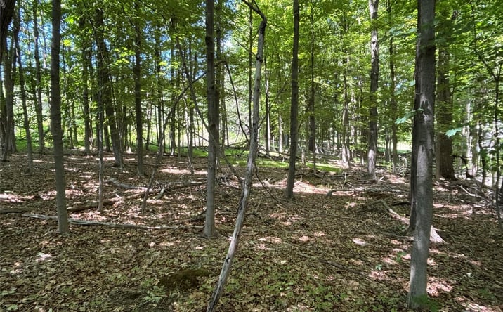 Pictures of Land, Multifamily property located at Smith Road, Poughkeepsie, NY 12603 for sales - image #1