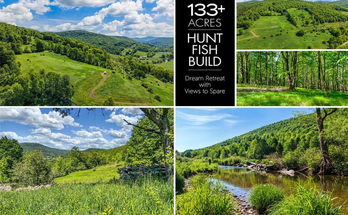 Pictures of Land property located at 26 Federal Hill 2 Road, Delhi, NY 13753 for sales - image #1