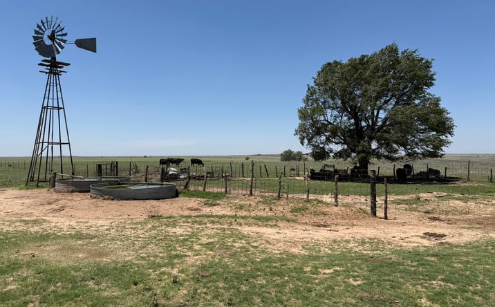 Pictures of Land property located at TBD County Road 3, Mobeetie, TX 79061 for sales - image #1