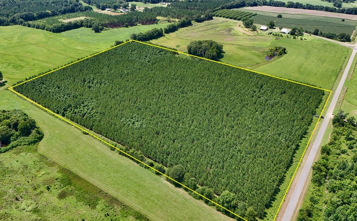 Pictures of Land property located at Edgefield Road, Clayton, AL 36016 for sales - image #1