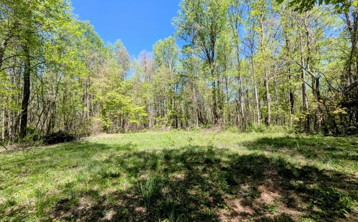 Pictures of Land property located at 839 Bent School Rd, Meadows of Dan, VA 24120 for sales - image #1