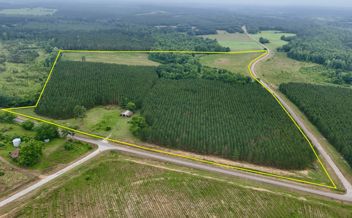 Pictures of Land property located at County Road 67, Clopton, AL 36317 for sales - image #1