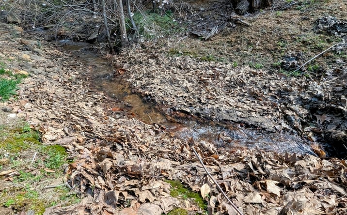Pictures of Land property located at 6039 Belcher Mountain Rd, Woolwine, VA 24185 for sales - image #1