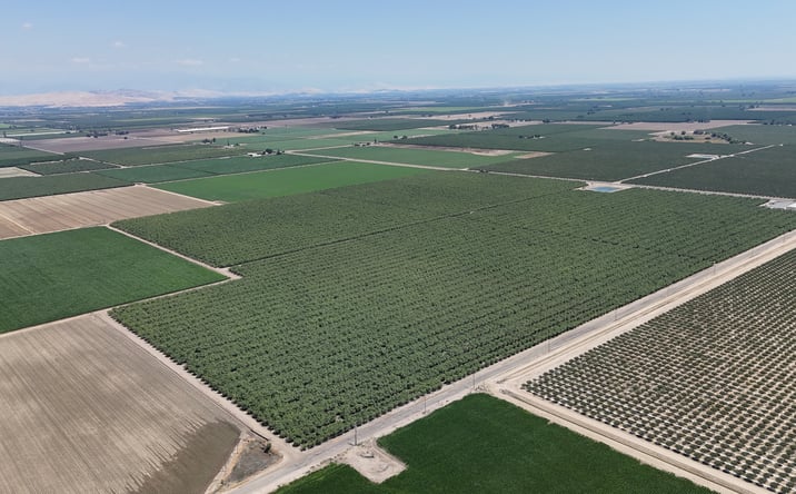 Pictures of Land property located at 17401 Avenue 192, Strathmore, CA 93267 for sales - image #1