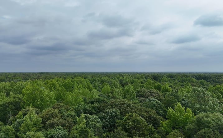 Pictures of Land property located at 1144 Freidriechstadt, Woodbine, NJ 08270 for sales - image #1