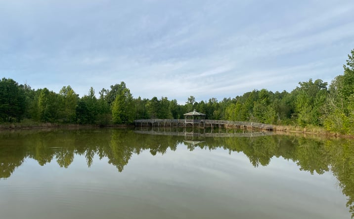 Pictures of Land, Special Purpose property located at Bruton Rd., Savannah, TN 38372 for sales - image #1