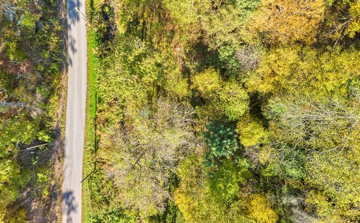 Pictures of Special Purpose, Land property located at Brown Bear Hollow Road, Northfork, WV 24868 for sales - image #1