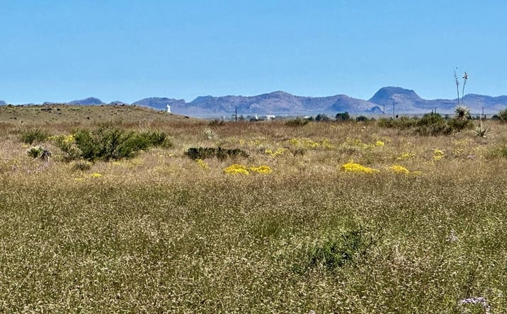 Pictures of Land property located at 18311 Hwy 90, Marfa, TX 79843 for sales - image #1