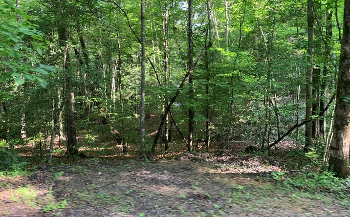 Pictures of Land property located at Lot 57 Rainy Farm Road, Murphy, NC 28906 for sales - image #1
