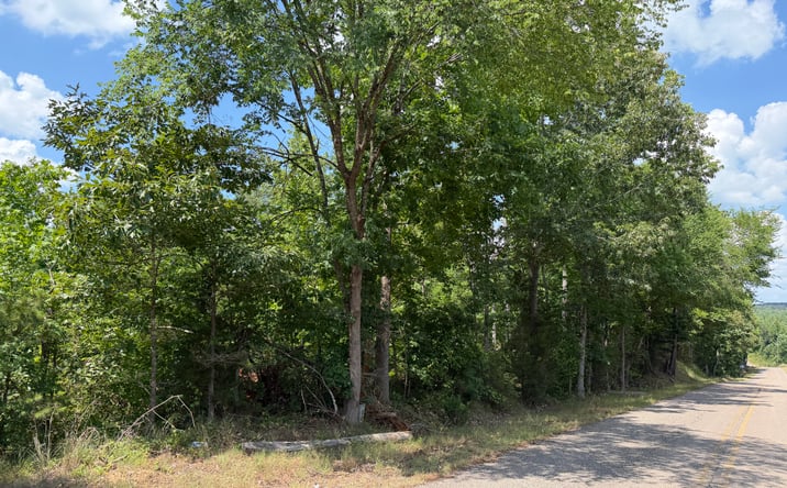 Pictures of Land property located at Roste Creek Rd. Tract 1, Selmer, TN 38375 for sales - image #1