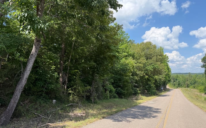 Pictures of Land property located at Rose Ceek Rd. Tract, Selmer, TN 38375 for sales - image #1