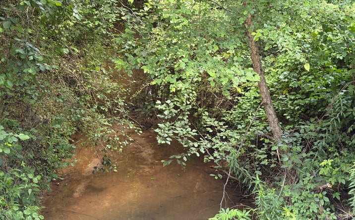 Pictures of Land property located at 8 Rose Creek Rd., Selrmer, TN 38375 for sales - image #1